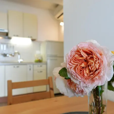 Rato Apartment